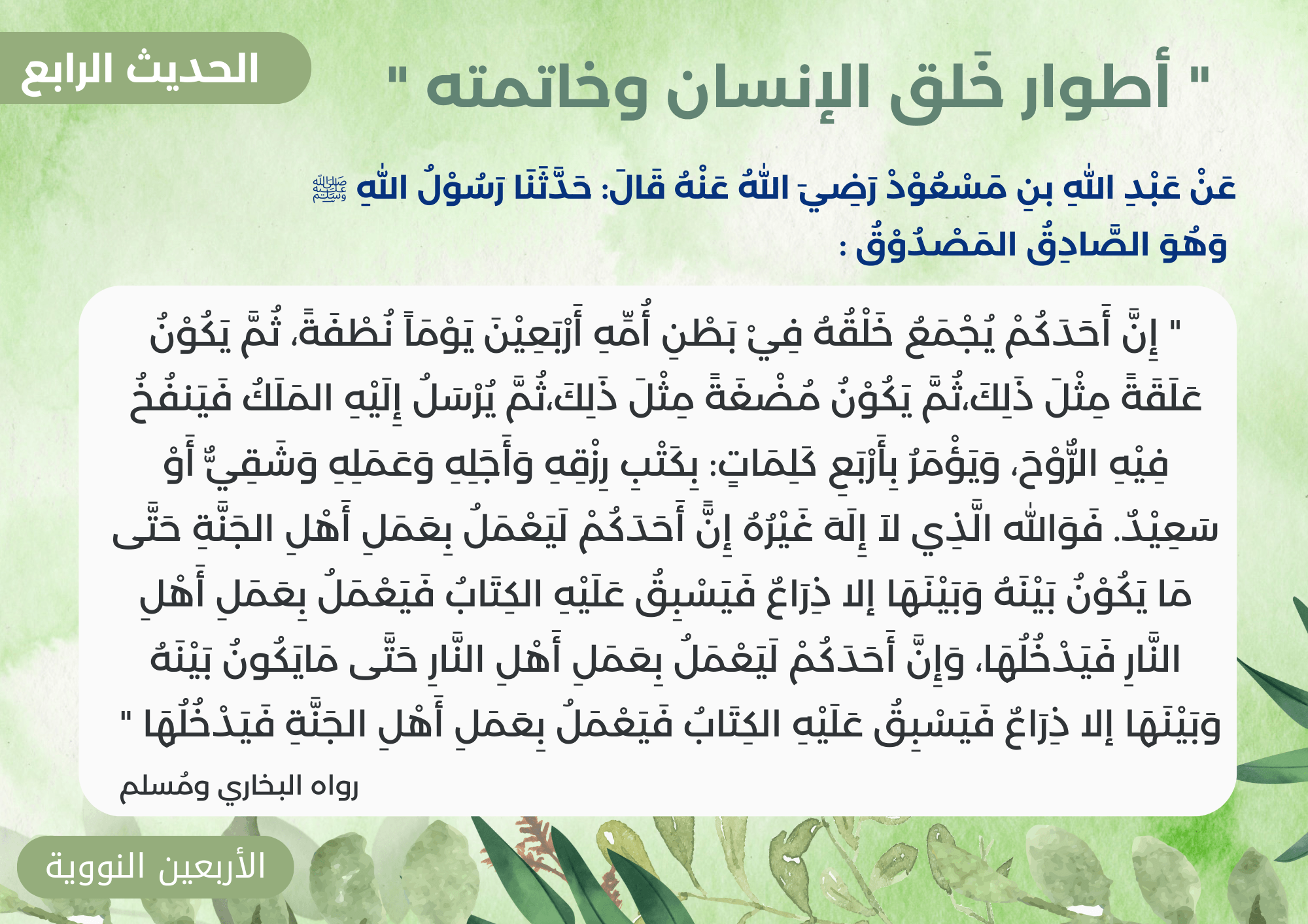 الأربعون نووية 