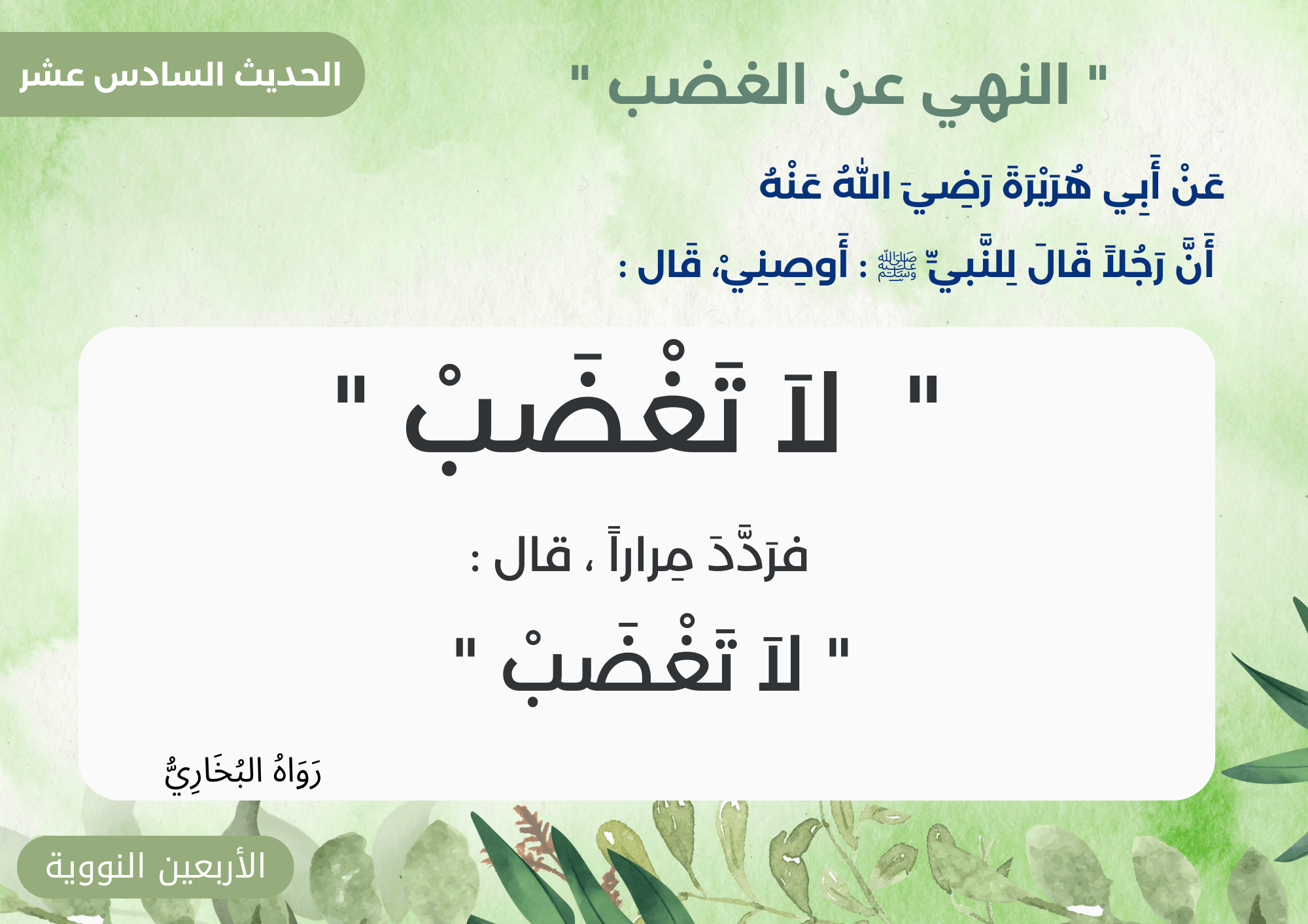 الأربعون نووية 