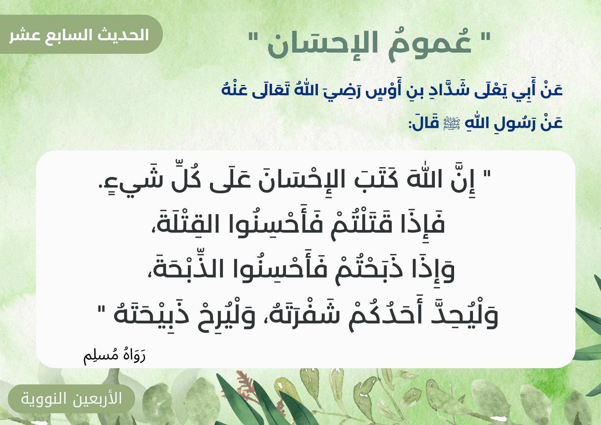 الأربعون نووية 