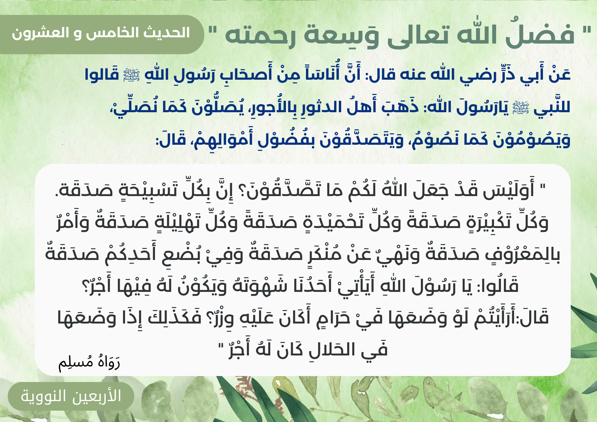 الأربعون نووية 