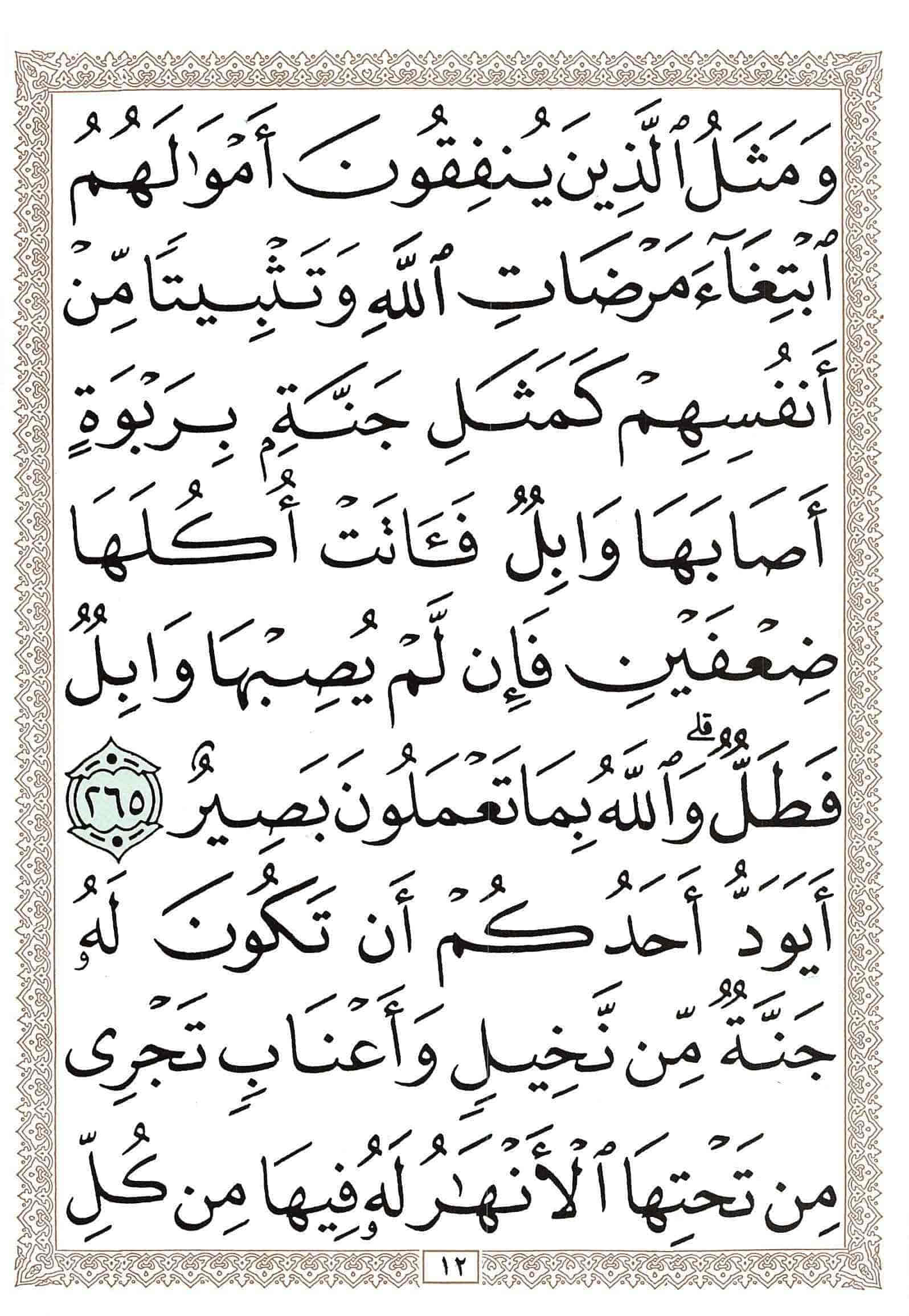 صفحة رقم 12 من قرآن الهاتف الجزء 3