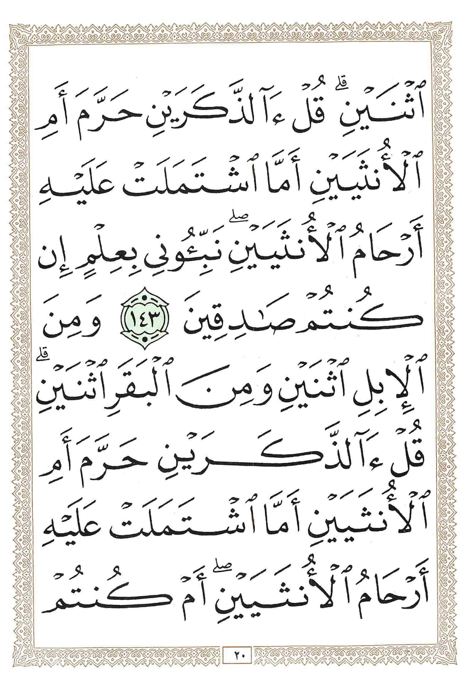 صفحة رقم 20 من قرآن الهاتف الجزء 8