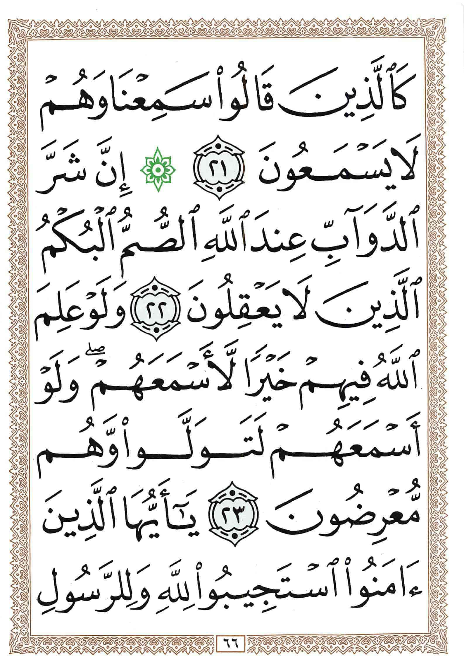 صفحة رقم 66 من قرآن الهاتف الجزء 9