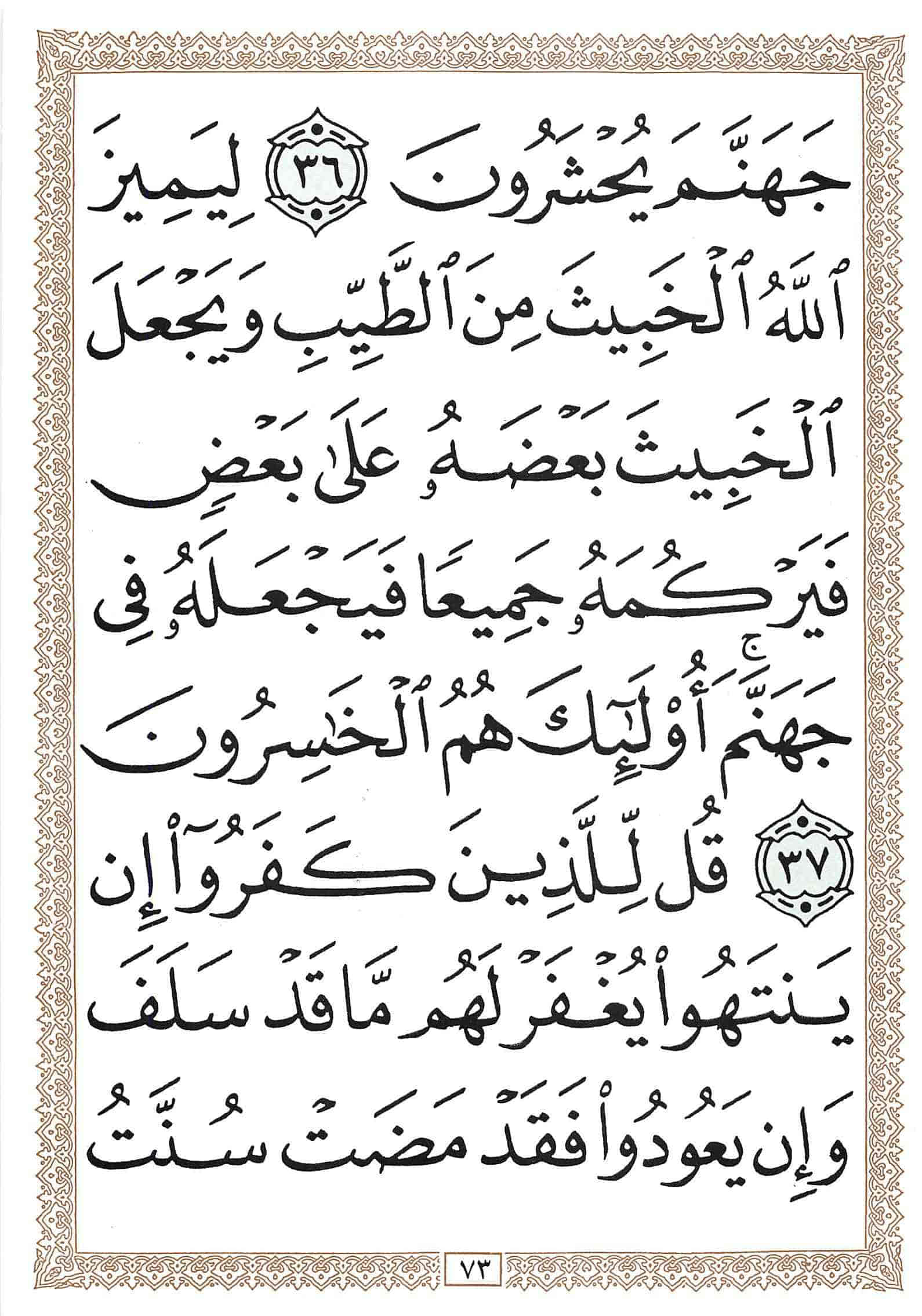صفحة رقم 73 من قرآن الهاتف الجزء 9