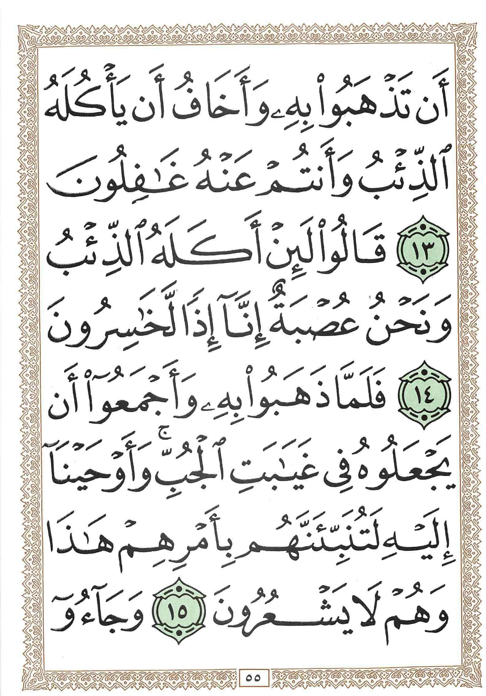 صفحة رقم 55 من قرآن الهاتف الجزء 12