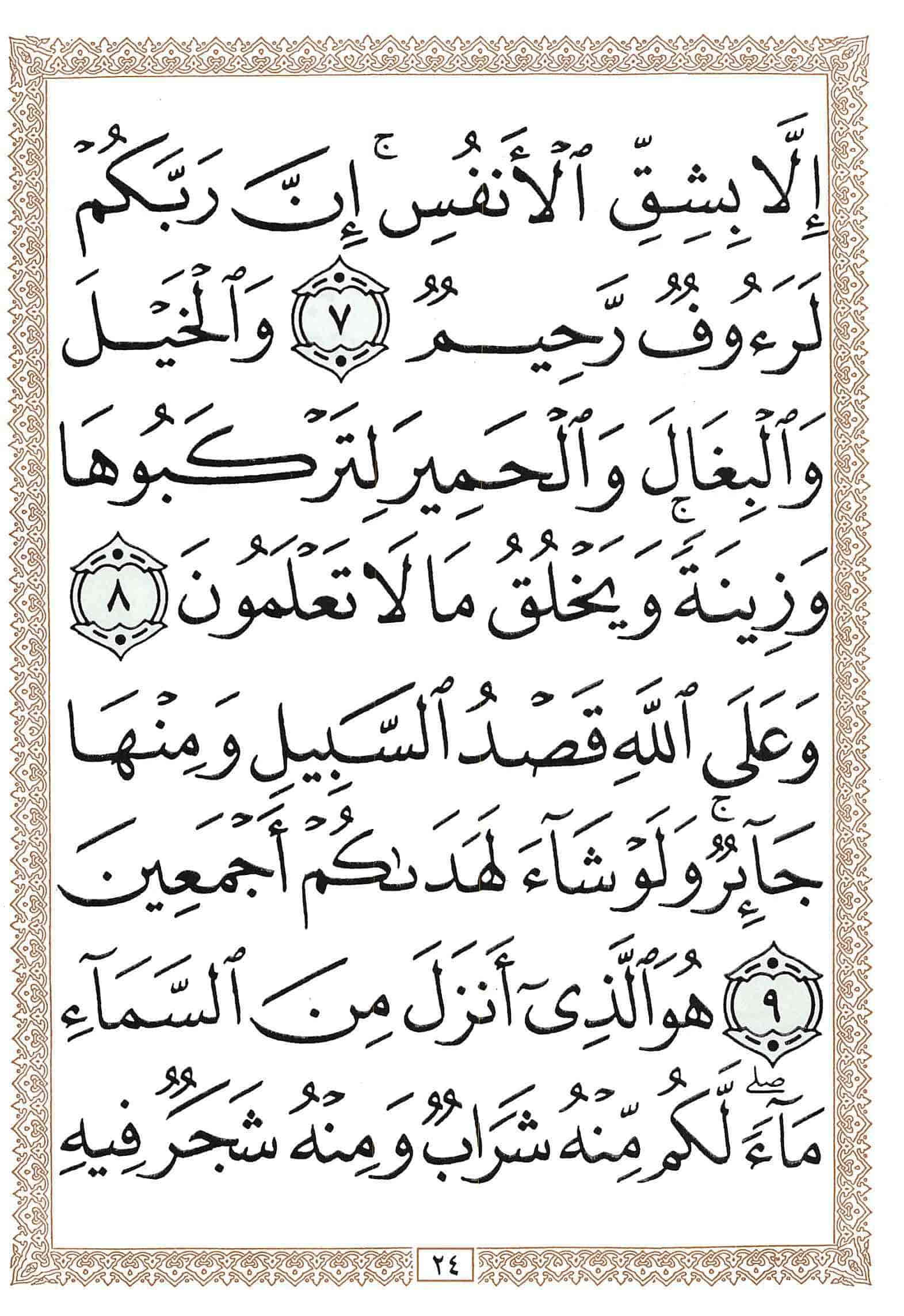 صفحة رقم 24 من قرآن الهاتف الجزء 14