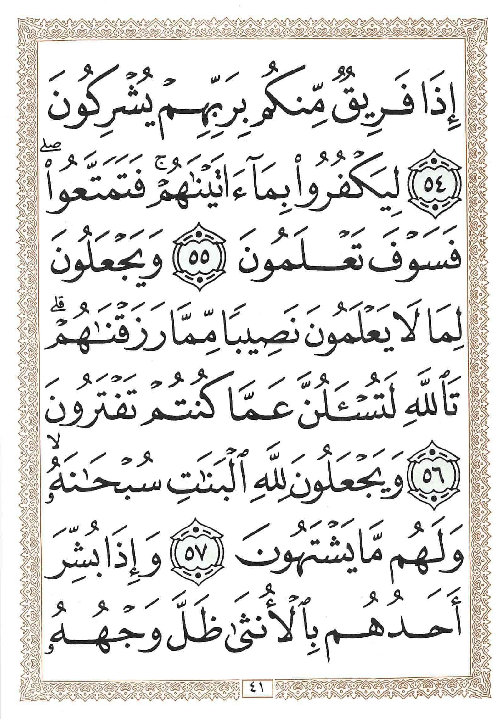صفحة رقم 41 من قرآن الهاتف الجزء 14