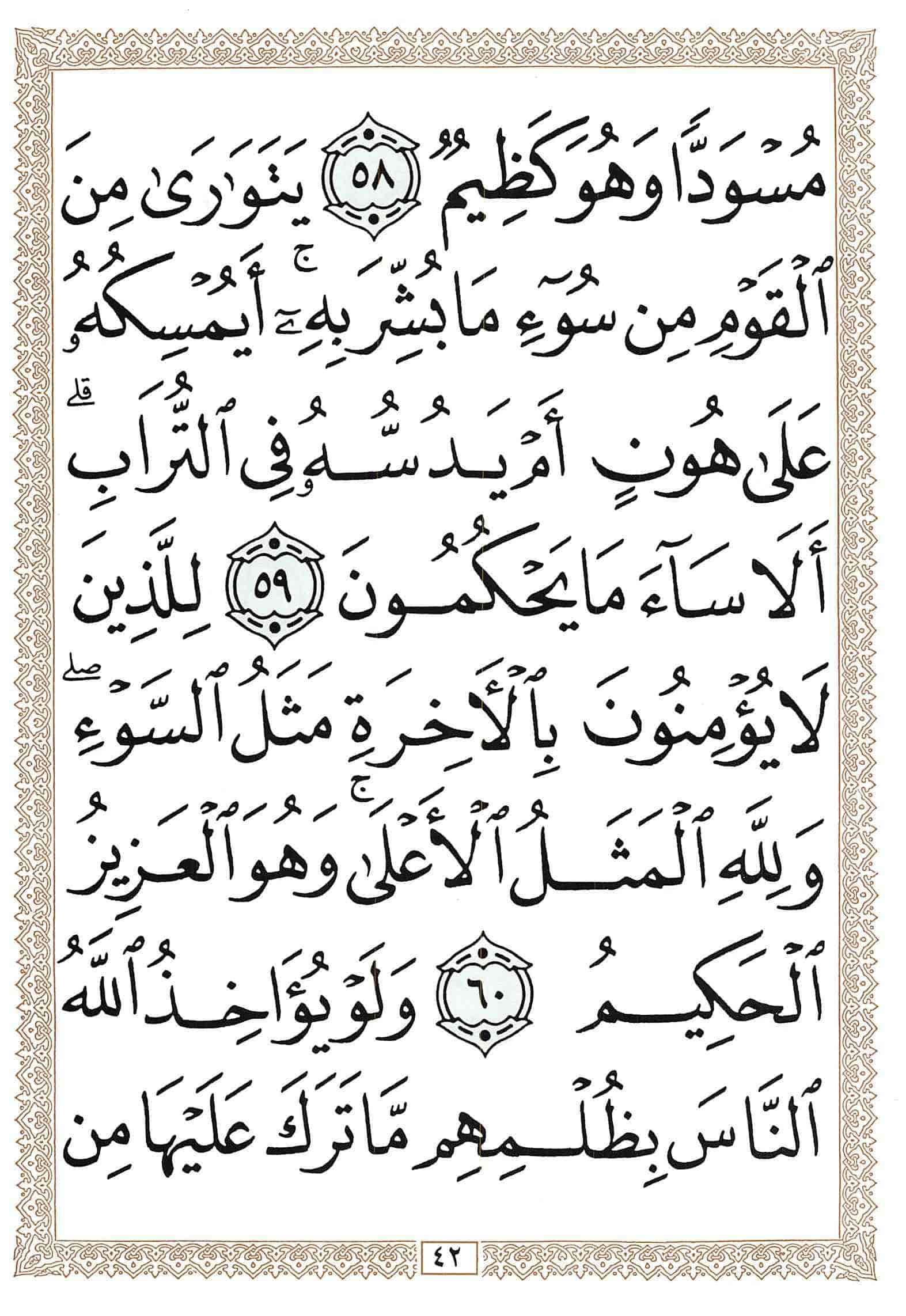 صفحة رقم 42 من قرآن الهاتف الجزء 14