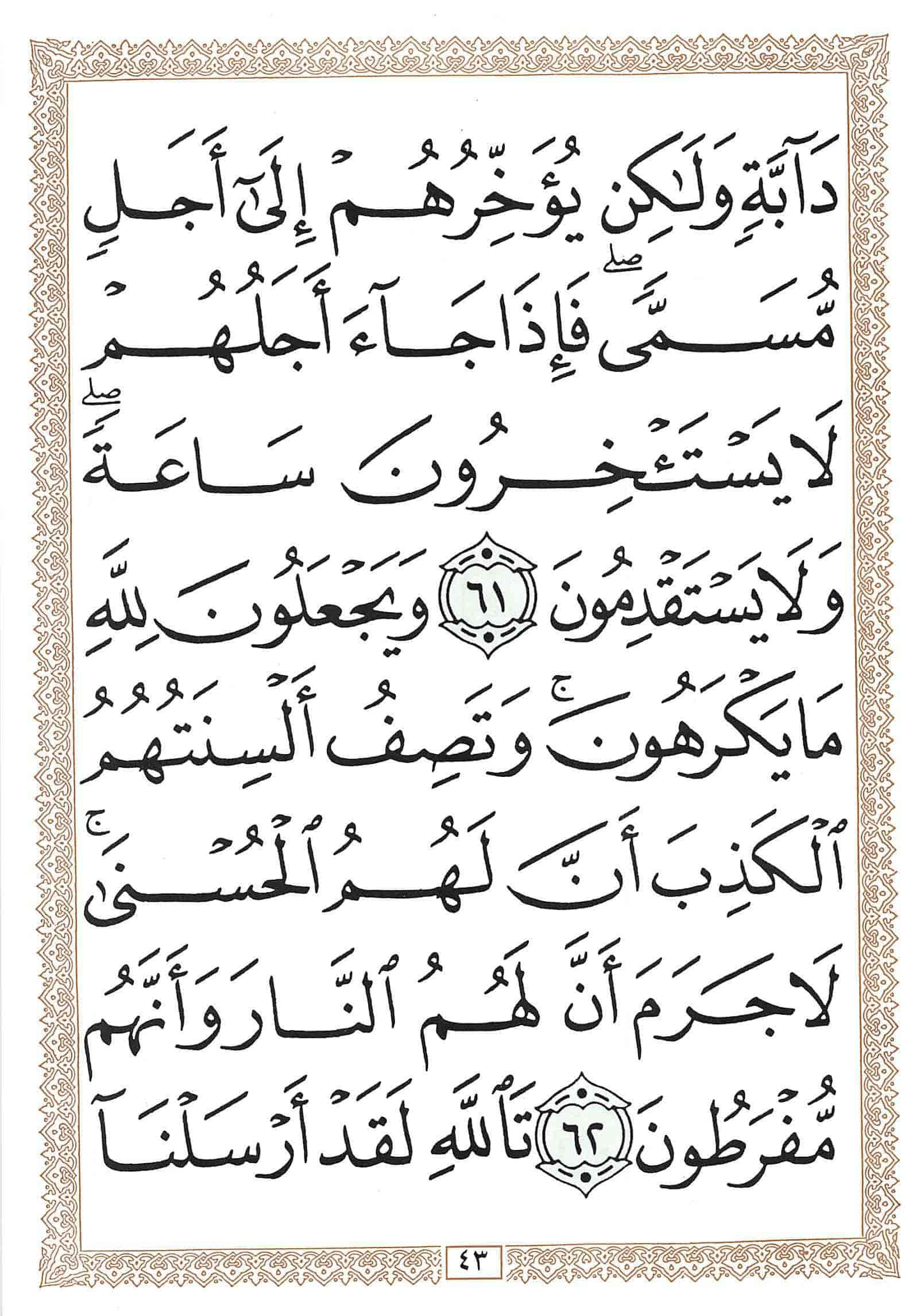 صفحة رقم 43 من قرآن الهاتف الجزء 14
