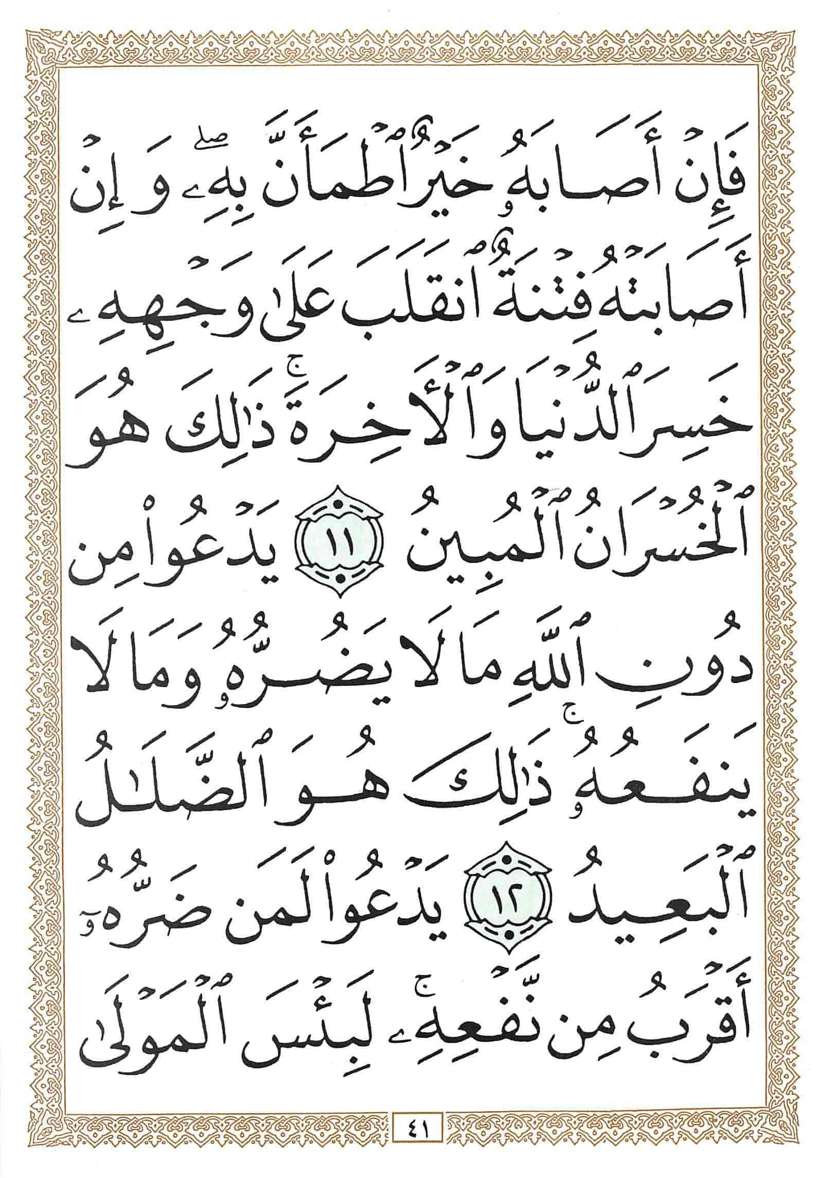 صفحة رقم 41 من قرآن الهاتف الجزء 17