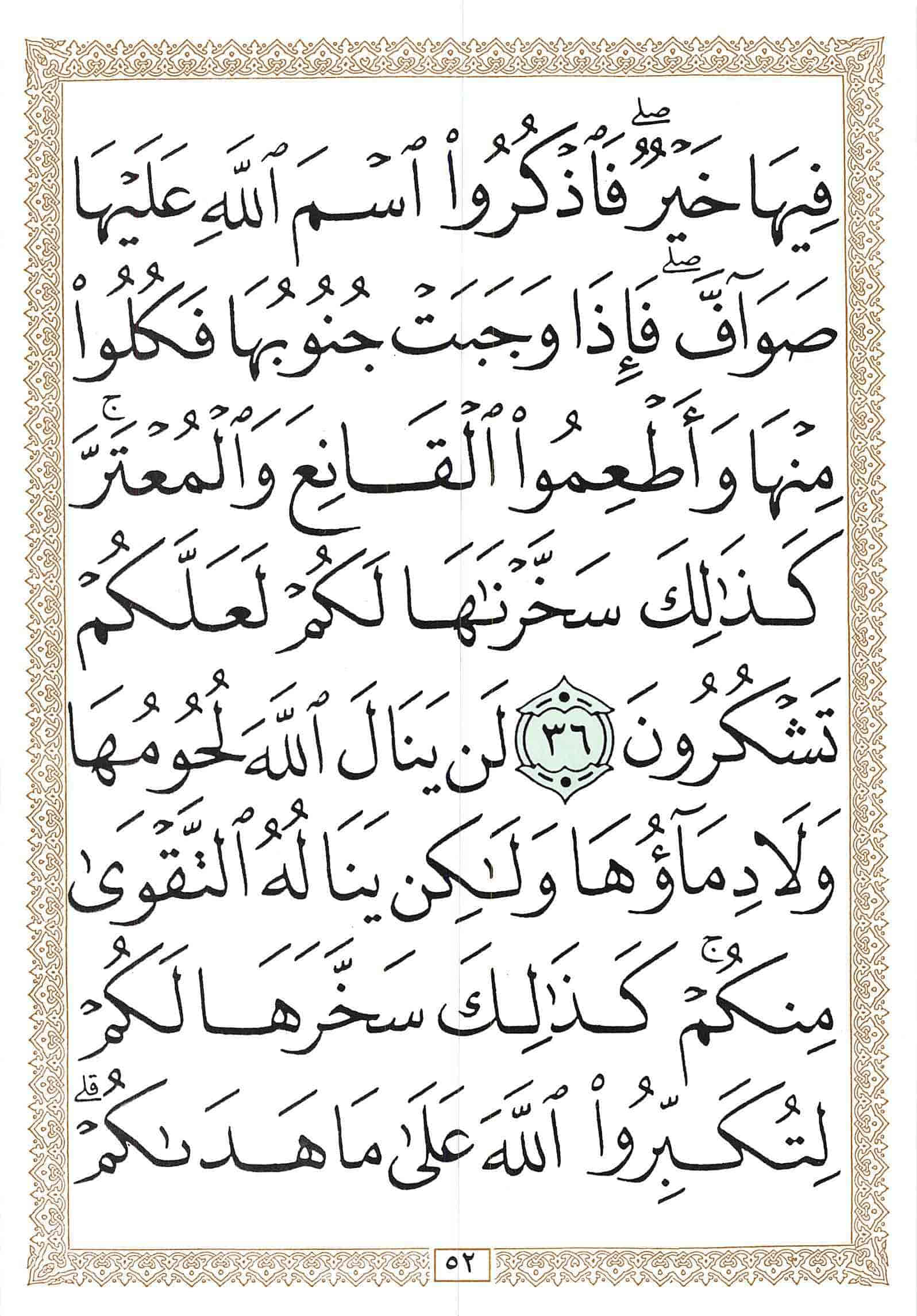 صفحة رقم 52 من قرآن الهاتف الجزء 17