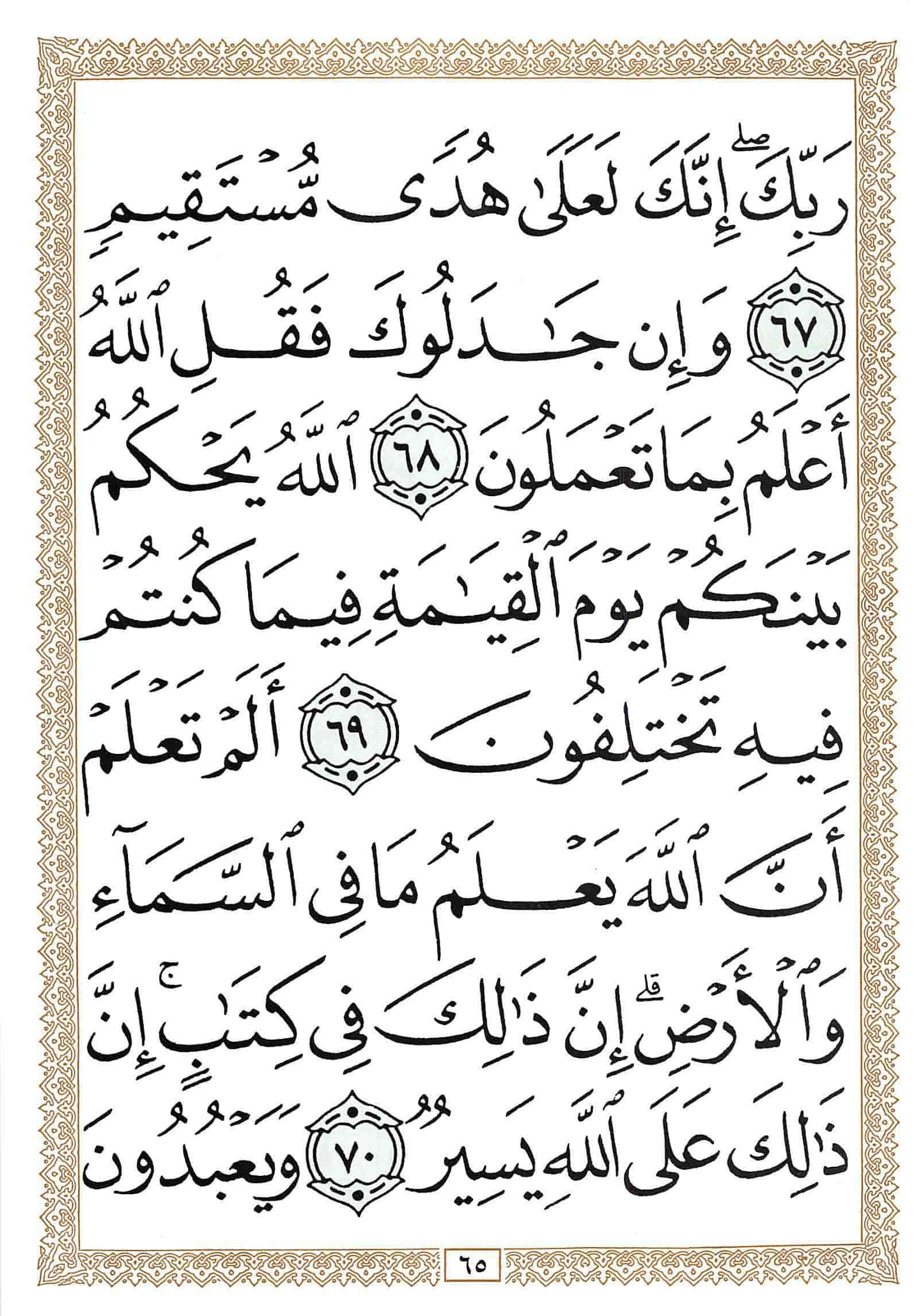 صفحة رقم 65 من قرآن الهاتف الجزء 17