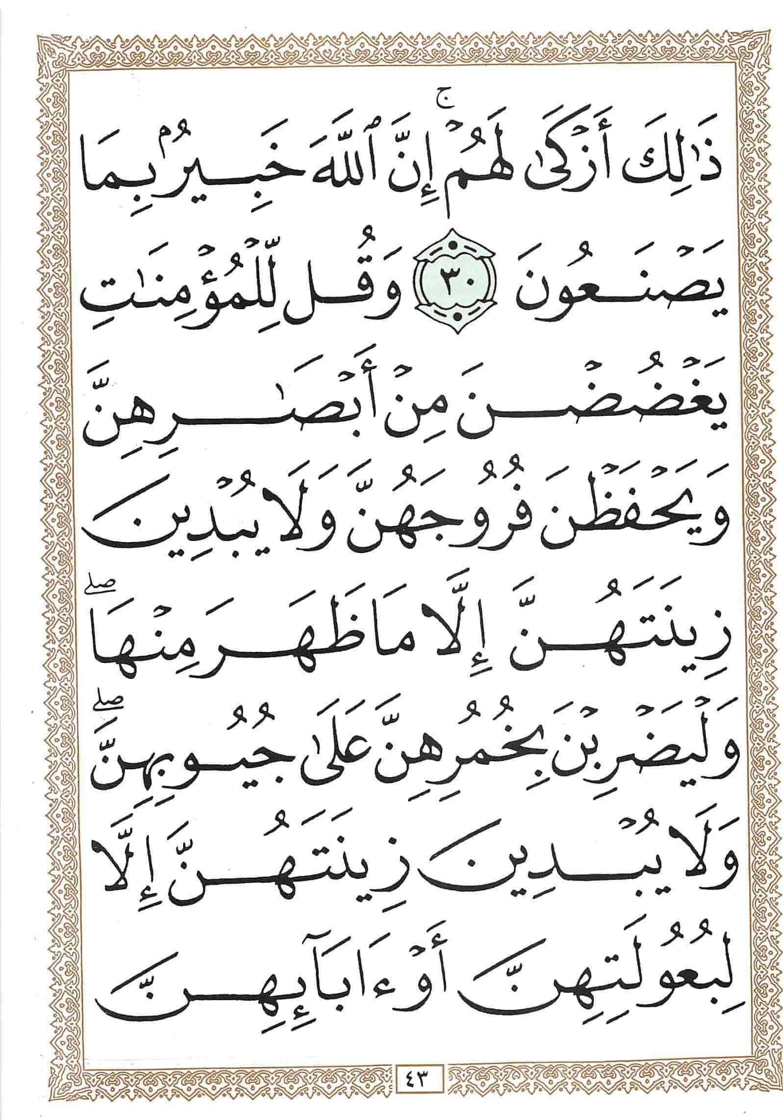صفحة رقم 43 من قرآن الهاتف الجزء 18