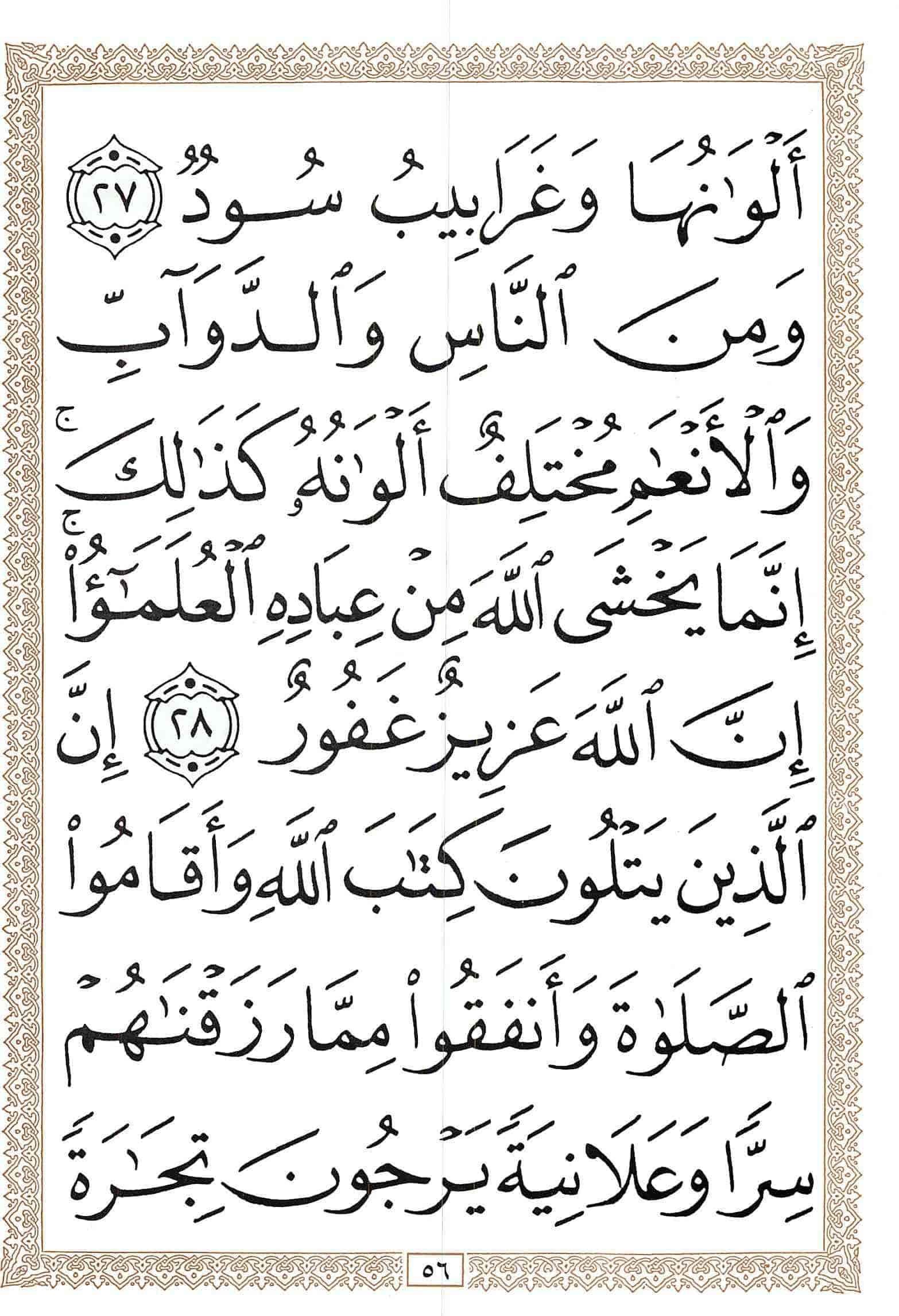 صفحة رقم 56 من قرآن الهاتف الجزء 22