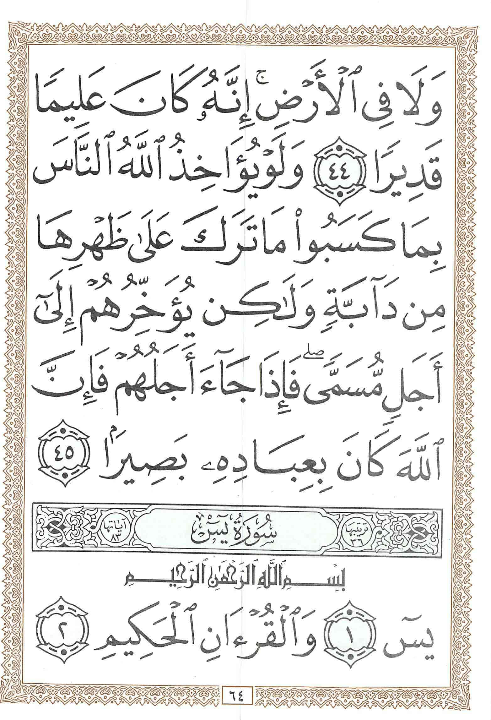 صفحة رقم 64 من قرآن الهاتف الجزء 22