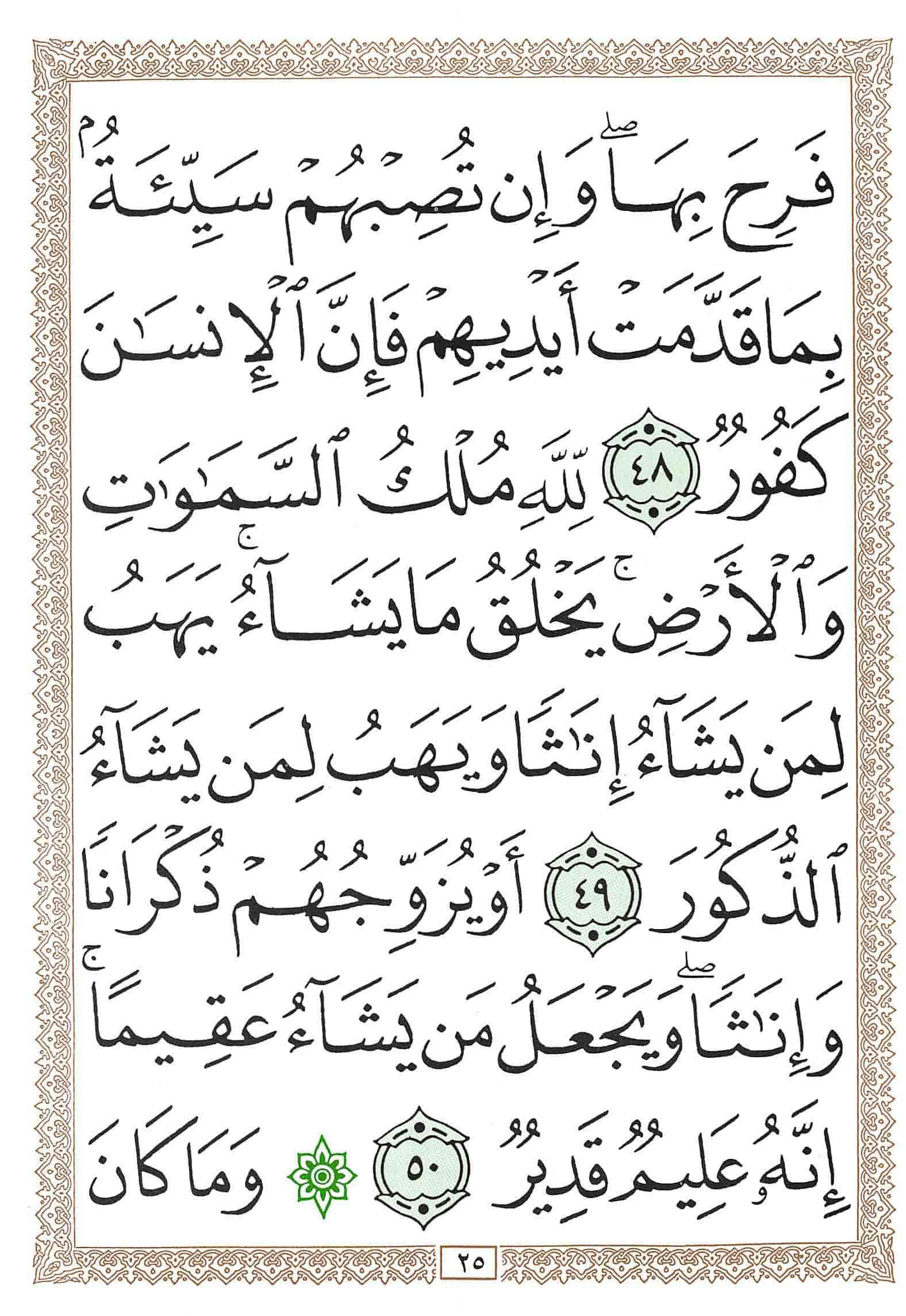 صفحة رقم 25 من قرآن الهاتف الجزء 25
