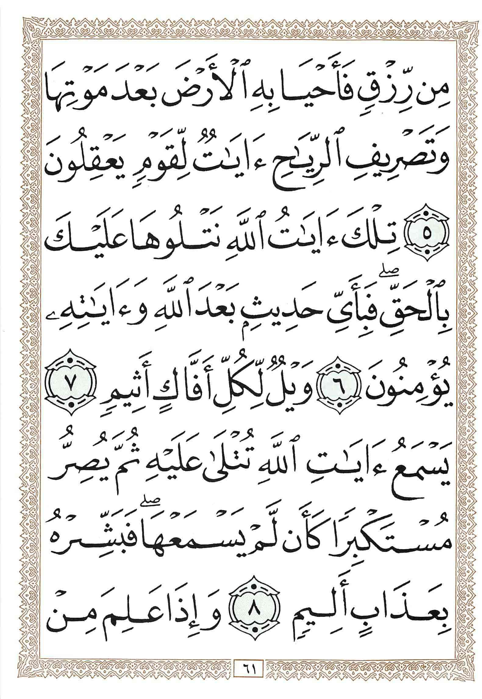صفحة رقم 61 من قرآن الهاتف الجزء 25