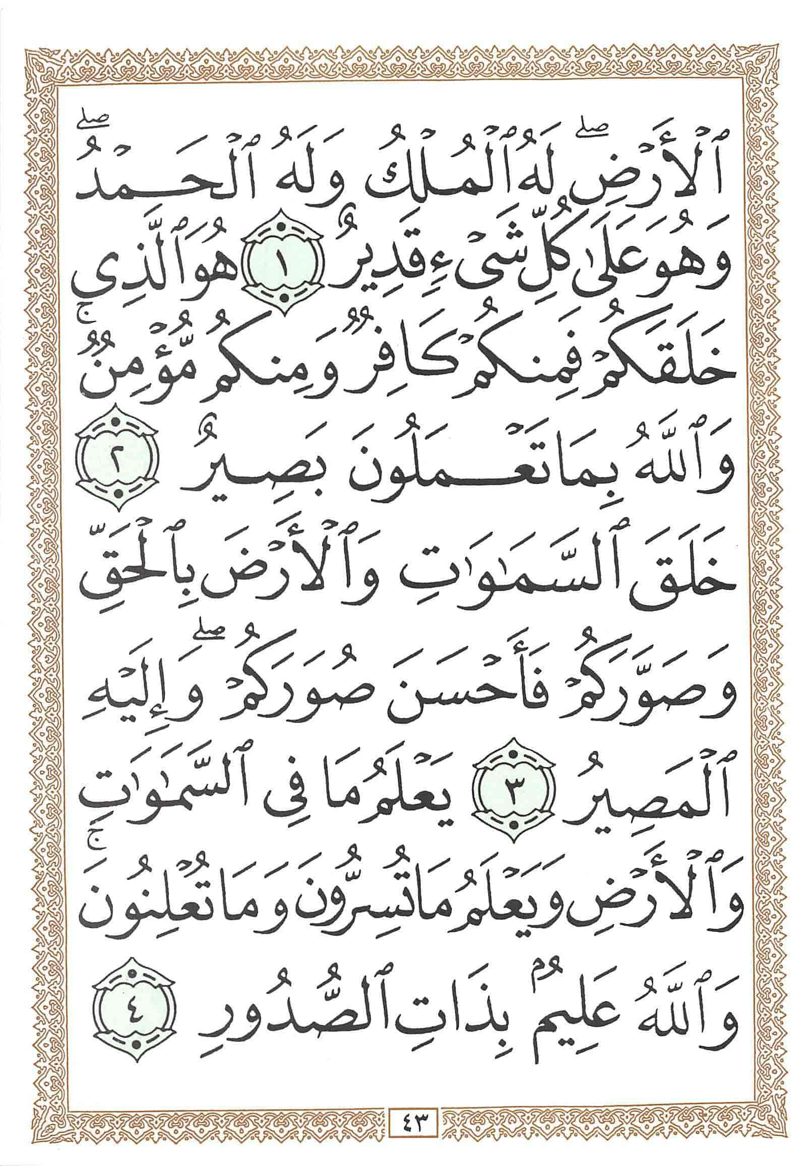 صفحة رقم 43 من قرآن الهاتف الجزء 28