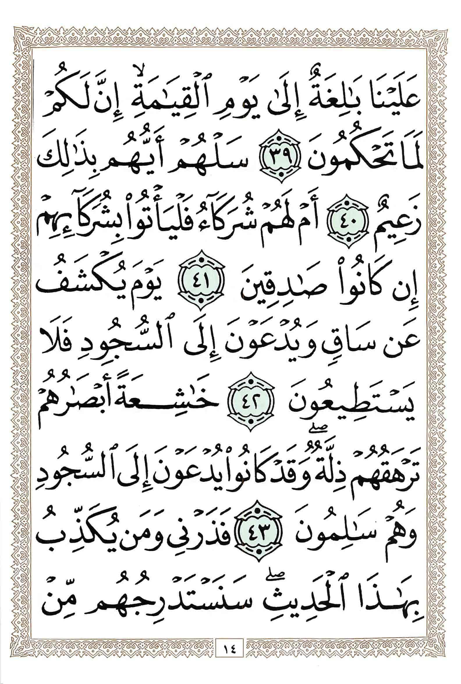صفحة رقم 14 من قرآن الهاتف الجزء 29