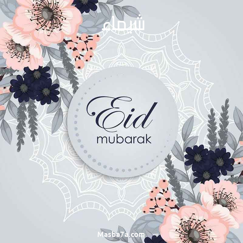 Second slide