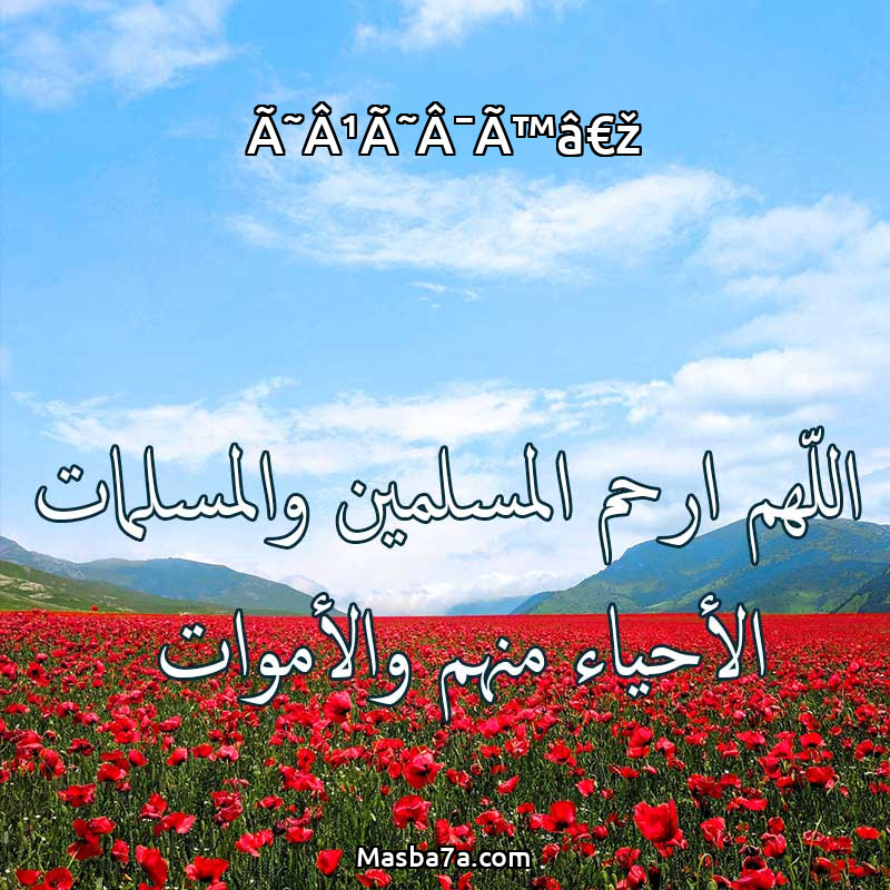 My Image 7